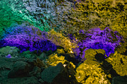 Color fantasy with natural texture, an Abstract Photo by Schreibikus (Thumbnail 2 of 5)