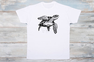 Sea Turtle SVG - Sea Turtle Clipart