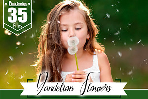 35 Dandelion Flowers Photo Overlays