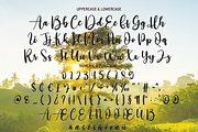 Paradise | Script Font, a Script Font by Scratchones (Thumbnail 5 of 8)