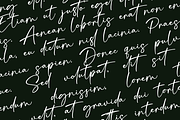 Signatura Onellander Handwritten, a Handwritten Font by Basnistudio (Thumbnail 2 of 14)