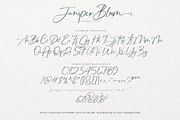 Juniper Bloom | Script & SVG Serif, a Handwritten Font by Callie Rian & Co. (Thumbnail 25 of 26)