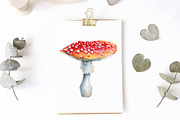 Mushrooms Forest watercolor painting, an Object Illustration by Hanna Hryharenka (Thumbnail 4 of 11)