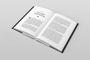 Dust Jacket Book Mockup, a Print Template by Petr Stránský (Thumbnail 5 of 13)