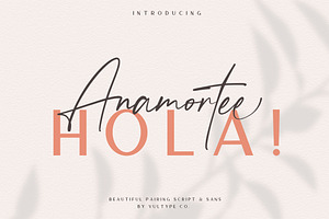 Anamortee // Modern Calligraphy Font