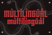 Rolling Bones Display Typeface Font, a Sans Serif Font by Storytype Studio (Thumbnail 12 of 15)