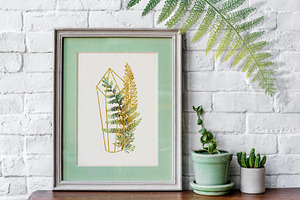 Sunny Fern Collection