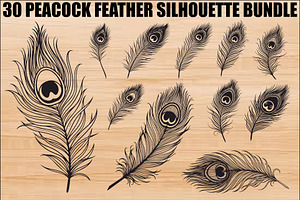 Peacock Feather Silhouette Bundle, an Illustration by jahid234