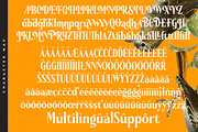 Belasfa Cantter Modern Serif Font, a Serif Font by timelesstype.co (Thumbnail 19 of 20)