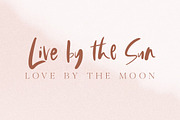 Wild Things Brush Font, a Script Font by Digital Hustler (Thumbnail 2 of 10)