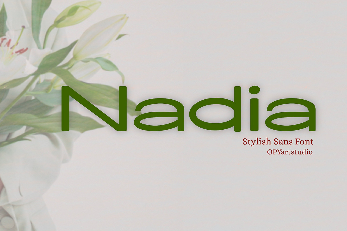 Nadia - Stylish Minimalist Sans Font, a Font by OPY ArtStudio (Photo 1 of 5)