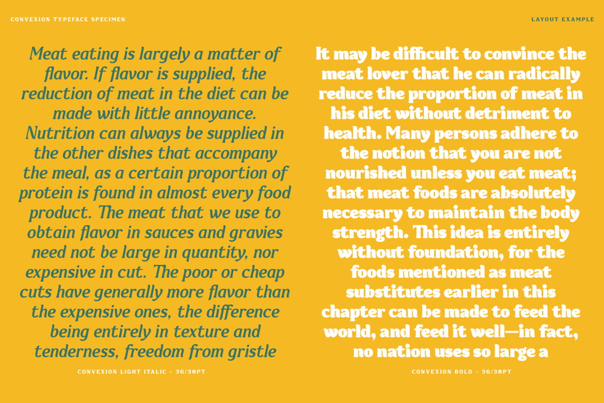 Convexion, a Serif Font by Typogama (Photo 5 of 10)