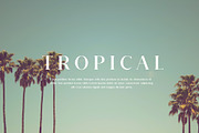 Breadley Serif, a Serif Font by Ardyanatypes (Thumbnail 7 of 12)