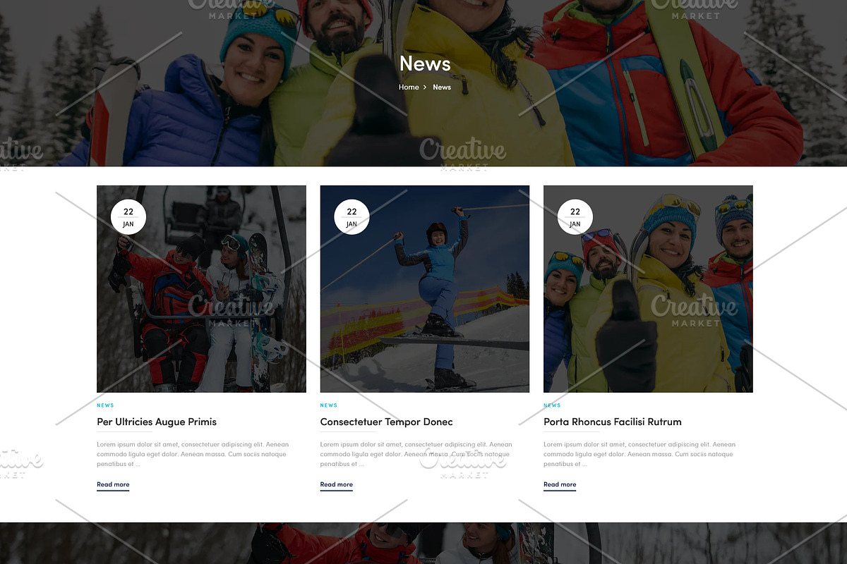 Skiing Skate & Snow Boards Shopify, a Shopify Template by HasnainDEV (Photo 4 of 5)