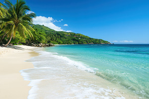Majestic tropical wave gently caress, a Photo by Pavel_design