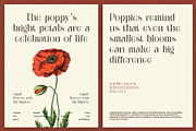 Gilgha Elegant Ligature Serif Font, a Serif Font by Perfectype (Thumbnail 7 of 8)