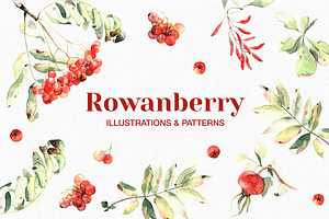 Watercolor rowanberry autumn clipart