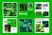 Botanical Social Media Post Layout, an UI Kit Template by CreativeShaper (Thumbnail 2 of 3)
