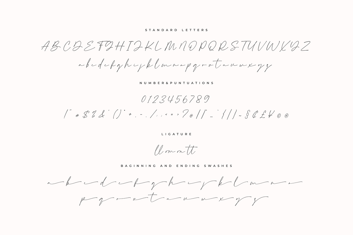 Semethone - Modern Calligraphy Font, a Script Font by Pen Culture (Photo 8 of 9)