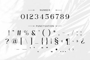 Morika Elegant Serif Font