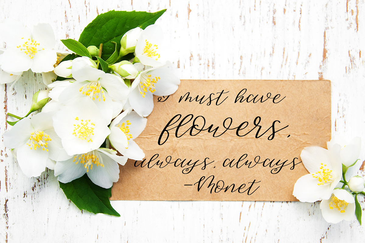 Sweet Jasmine Script, a Script Font by Beck McCormick (Photo 3 of 4)