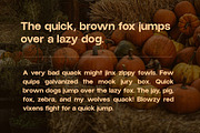 Carvello - Modern & Seasonal Sans, a Sans Serif Font by Webhance Studio (Thumbnail 3 of 12)