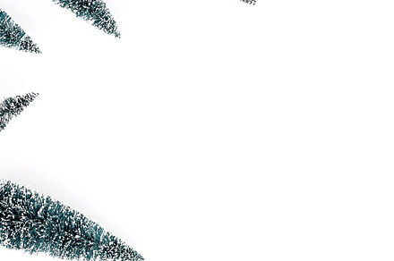 Christmas trees on white background