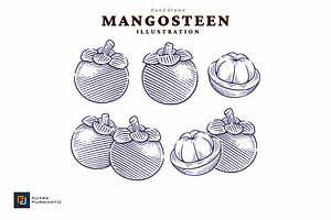 Hand Drawn Mangosteen Illustration