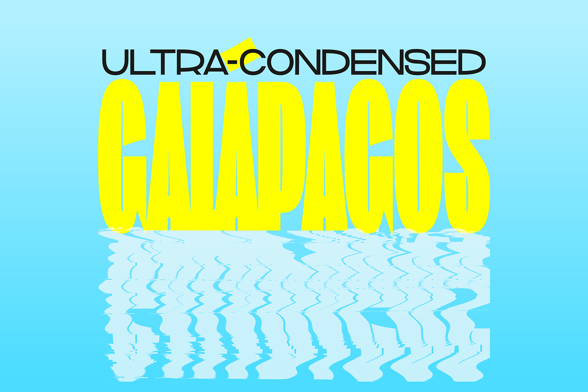 Extravalligator - Variable Font, a Sans Serif Font by Suolahti Type (Photo 2 of 8)