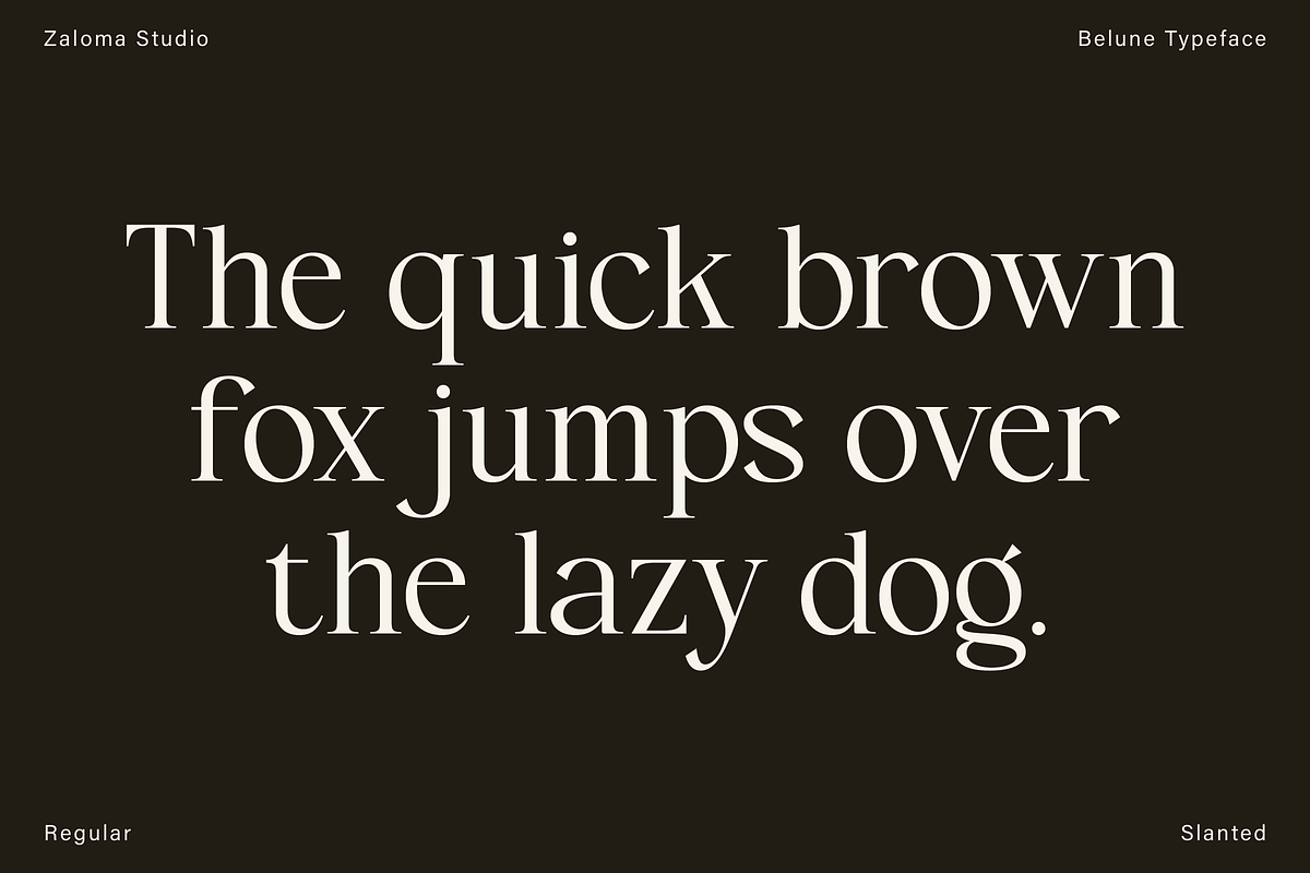 Belune, a Serif Font by Zaloma Studio (Photo 10 of 16)