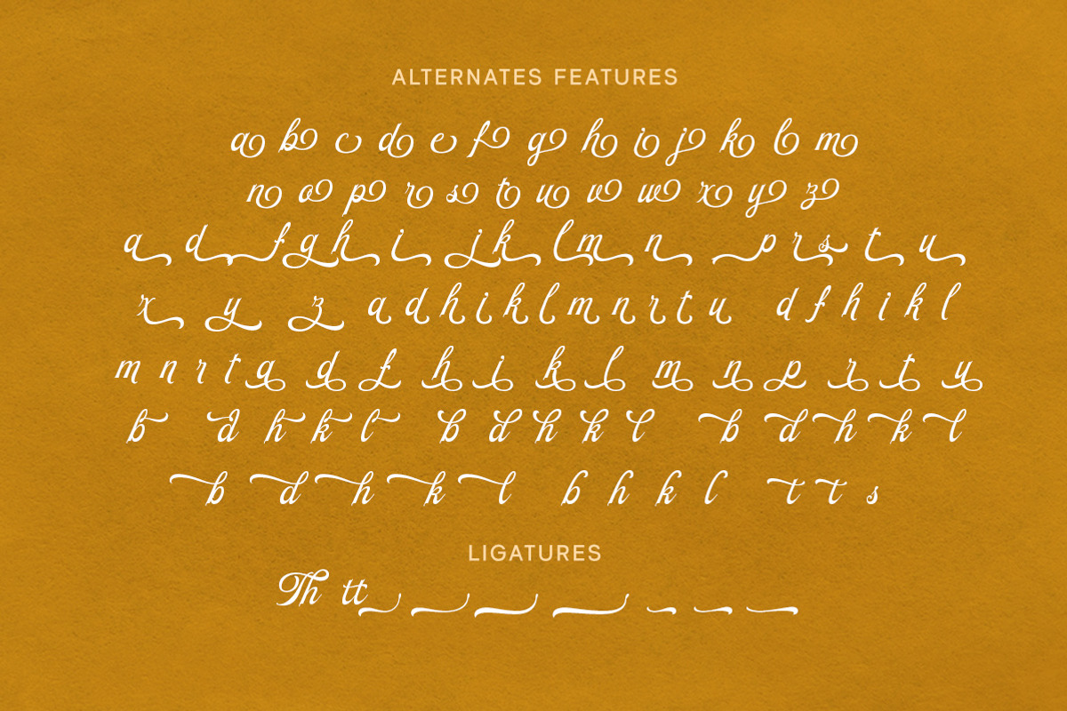 Beauty Reflections - Elegant Script, a Script Font by Letterhend Studio (Photo 8 of 9)