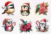 Christmas Birds Clipart, an Illustration by Dream Creation (Thumbnail 4 of 7)