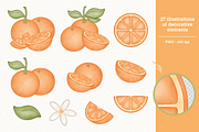 Sweet Orange - Cliparts Set, an Illustration by Estudio Daiane Barbosa (Thumbnail 3 of 8)