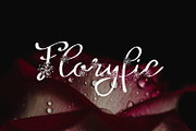 Floryfic Font, a Script Font by Digital Typeface Studio (Thumbnail 5 of 8)