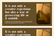 Maling Elegant Serif Font, a Serif Font by Perfectype (Thumbnail 6 of 8)