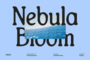 CS Melisa Drawn, a Serif Font by Craft Supply Co. (Thumbnail 7 of 8)