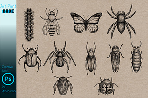 Photoshop Insect Brushes Tattoo Art