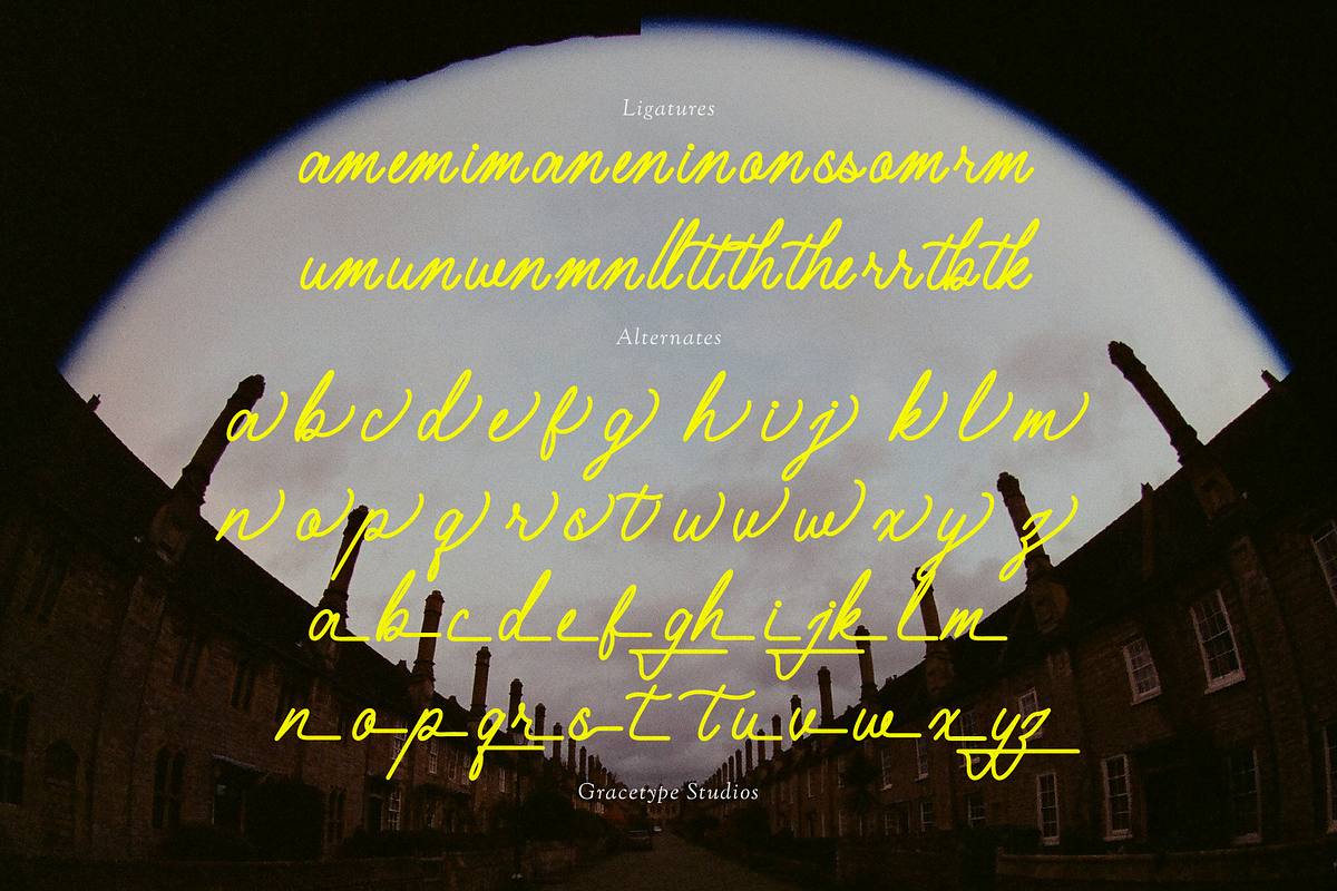 Holdem Avenue | Monoline Signature, a Script Font by gracetype_studio (Photo 12 of 12)