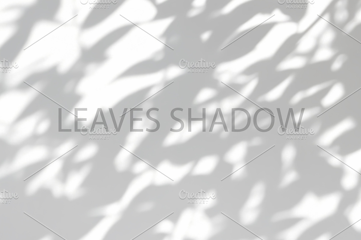 Leaves Shadow on Wall Background., a Background Graphic by kaisorn (Photo 4 of 8)