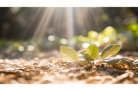 abstract light macro background, a Nature Photo by pikepicture