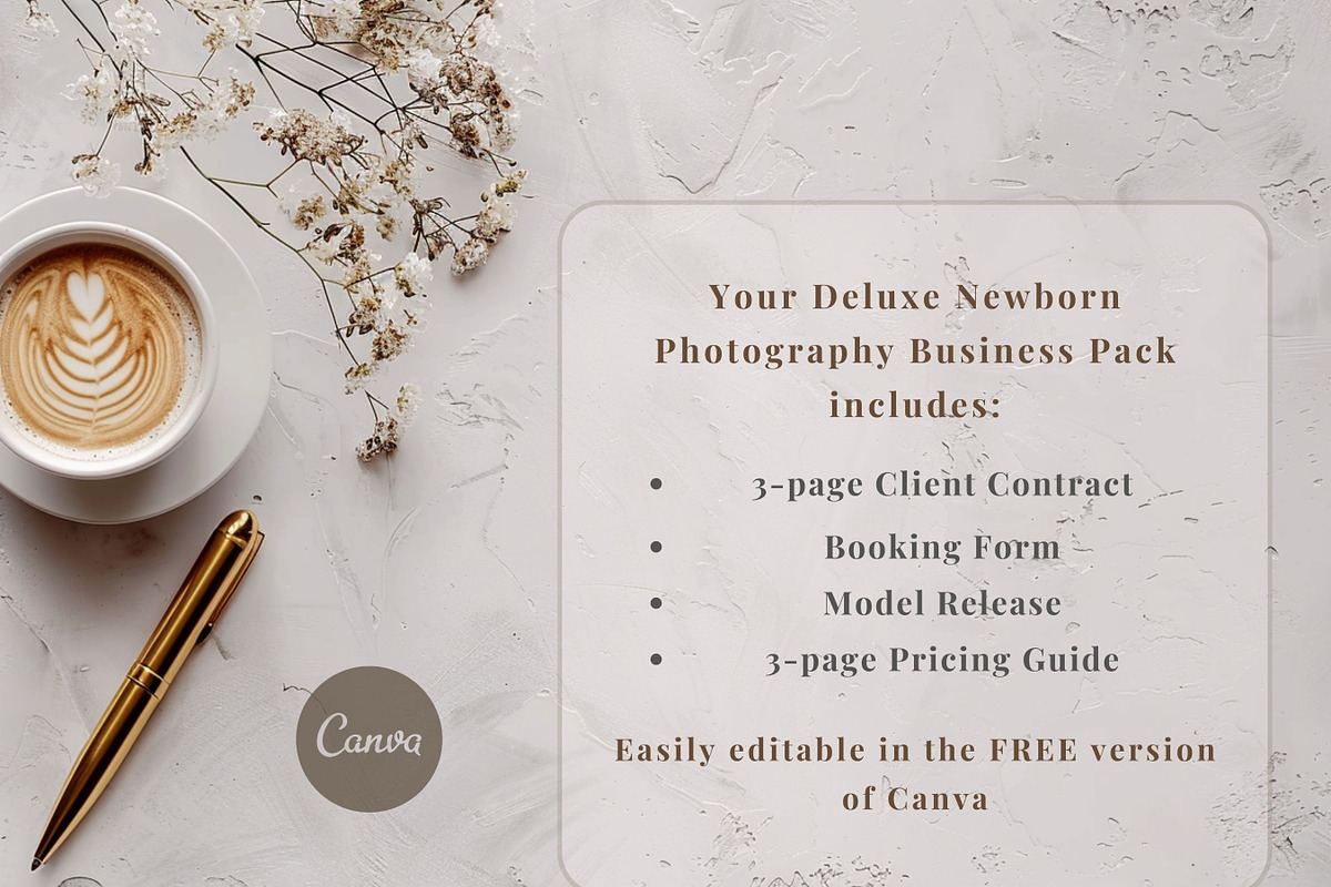 Newborn Photography Deluxe Bundle, a Templates & Theme by Princess & the Pea Design (Photo 7 of 8)