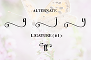 Butterfly | Script Font, a Handwritten Font by Scratchones (Thumbnail 8 of 9)