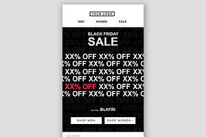 4 Black Friday Promotion Emails