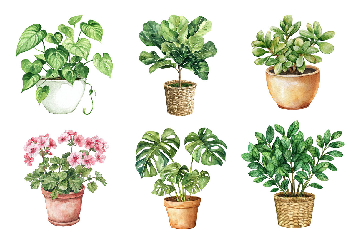 Watercolor Houseplant Clipart, an Illustration by CreationArt (Photo 4 of 5)