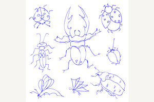 Insects Sketch