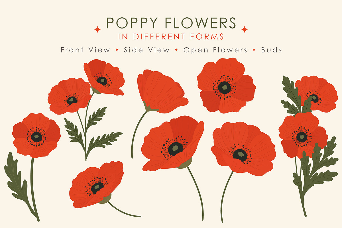 Poppy Flower Clipart Collection, a Decorative Illustration by OREHOVKA (Photo 3 of 6)