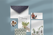 Flower collection, home plants, a Decorative Illustration by Yana_mide (Thumbnail 4 of 10)