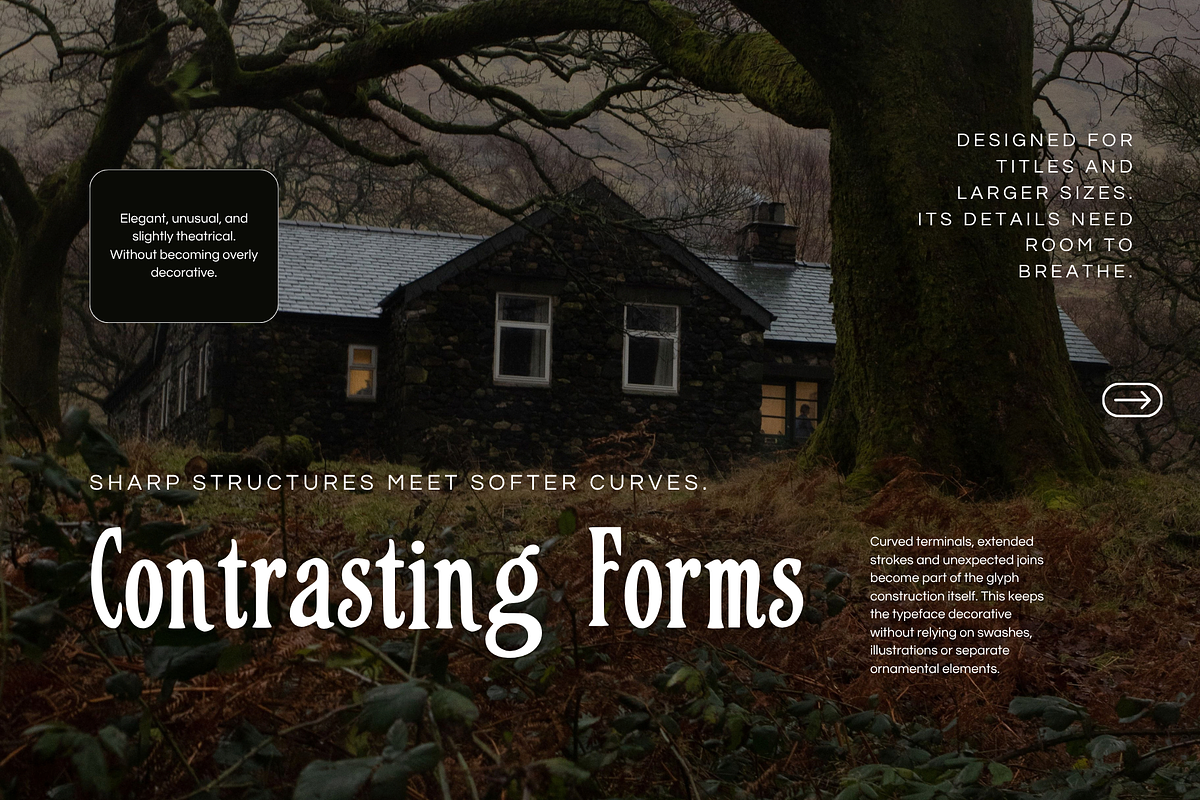 Unusual Decorative Display Serif, a Serif Font by foxsong (Photo 4 of 6)