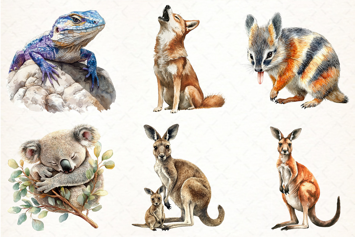 Australian Animals Clipart, an Illustration by Pixels.Craft (Photo 2 of 6)