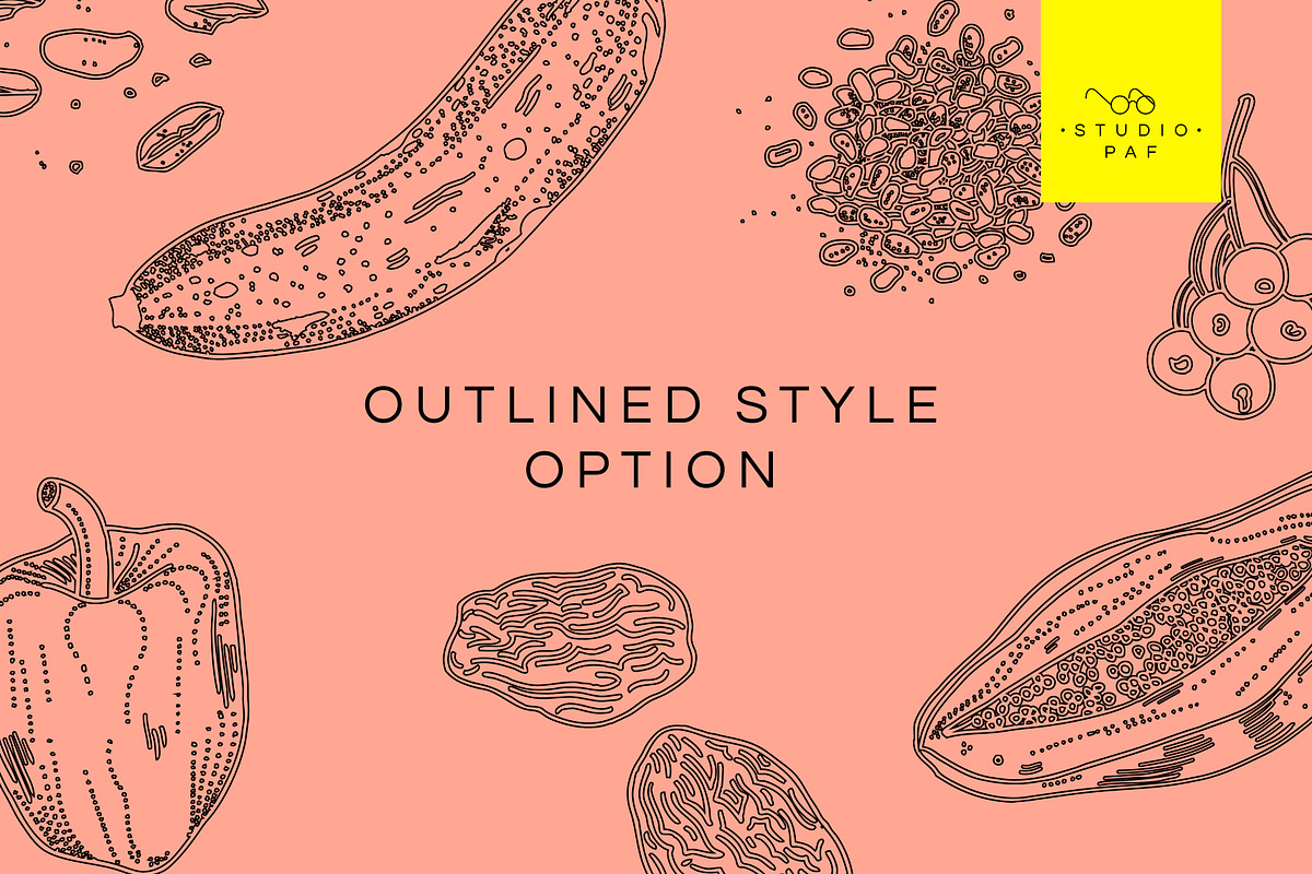 Fruit & Veg - Hand Drawn Vectors, a Food Illustration by STUDIO PAF (Photo 6 of 8)
